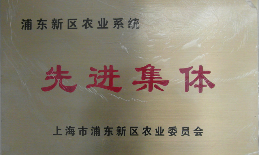 浦东新区先进集体