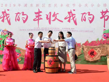 中国农民丰收节