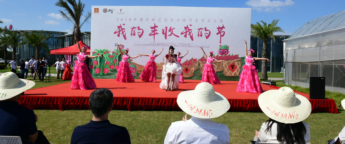 中国农民丰收节